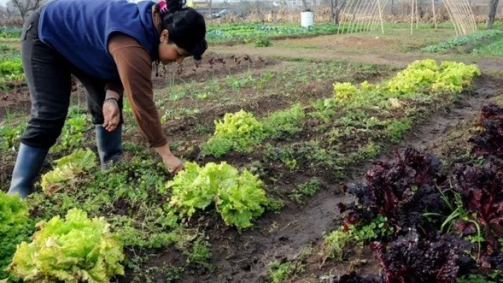 Proponen duplicar la zona de producción agroecológica en Santa Fe