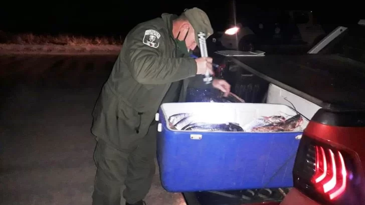 Decomisaron más de 100 kilos de pescado en Barrancas y un hombre fue sancionado