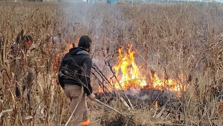 Trabajadores comunales sofocaron un principio de incendio en un campo de Maciel