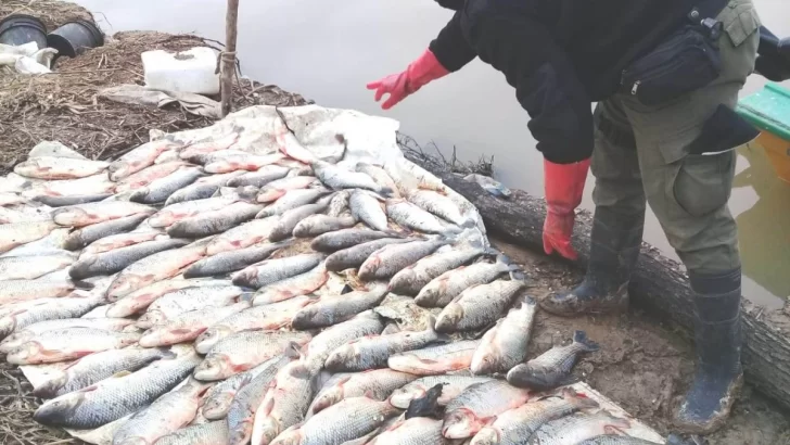 Los Pumas decomisaron casi 300 pescados en Barrancas: Dos sancionados