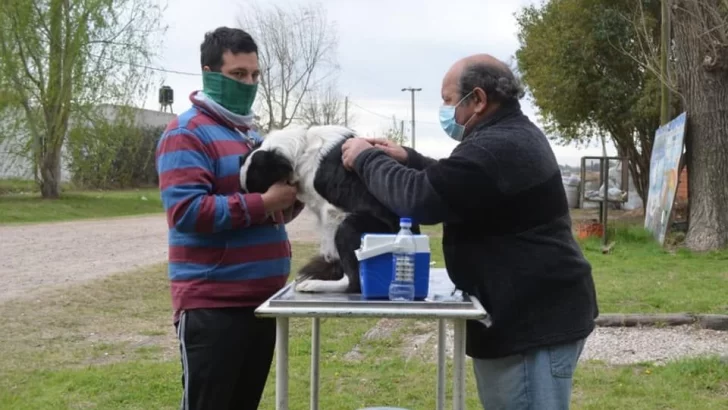 Salud Animal: Timbúes lleva adelante una campaña de vacunación antirrábica