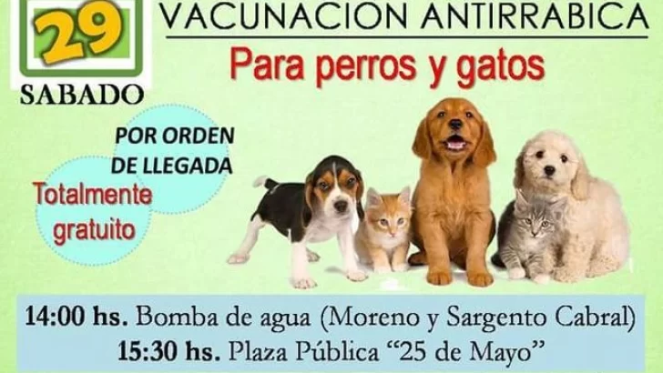 Carrizales: Vacunarán a perros y gatos contra la rabia