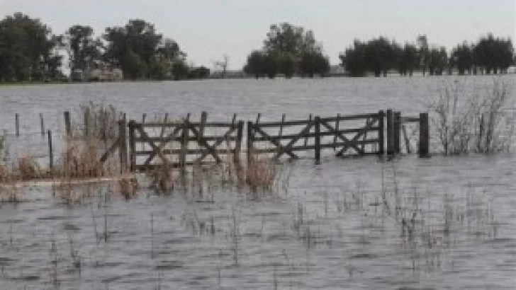 Por unanimidad la Cámara de Senadores pidió la Emergencia Hídrica