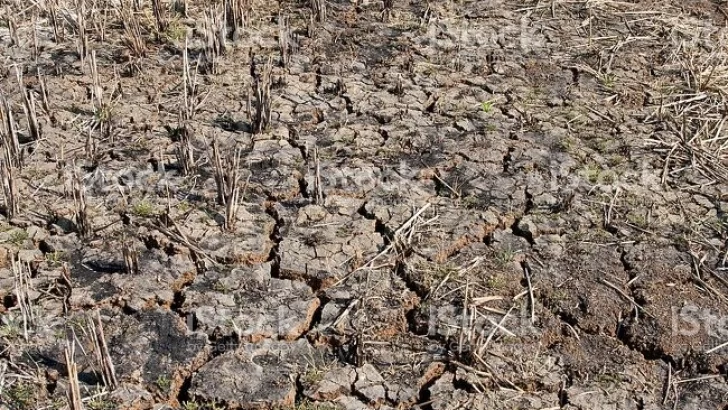 Serodino solicitó su inclusión en la emergencia agropecuaria