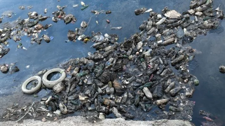 Contaminación que nada: Sábalos con componentes plásticos