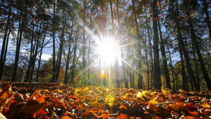 El otoño ya se empieza a sentir: bajan las termperaturas mínimas