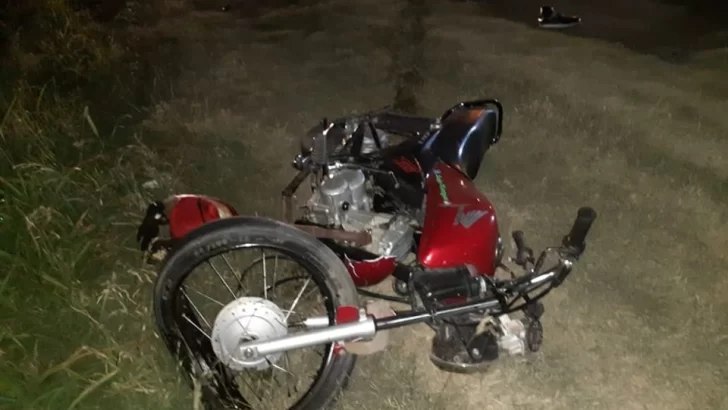 Una pareja lesionada y un perro muerto tras un accidente en moto