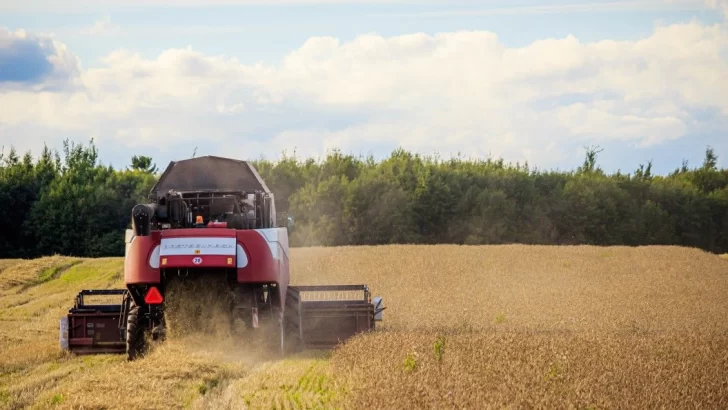 Todo lo que debes saber a la hora de adquirir maquinaria agropecuaria