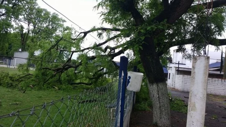 Morante: “Es la tercera tormenta que nos golpea pero ésta fue la más leve”