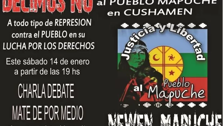 Pueblo Andino dice NO a la represión contra los pueblos mapuches