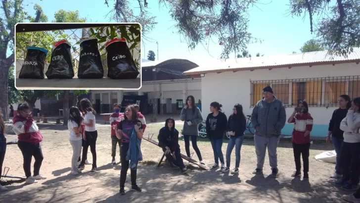 Sembrando juntos: Alumnos de Andino crearon plantines de naranjos y ceibos para el nuevo edificio de la secundaria