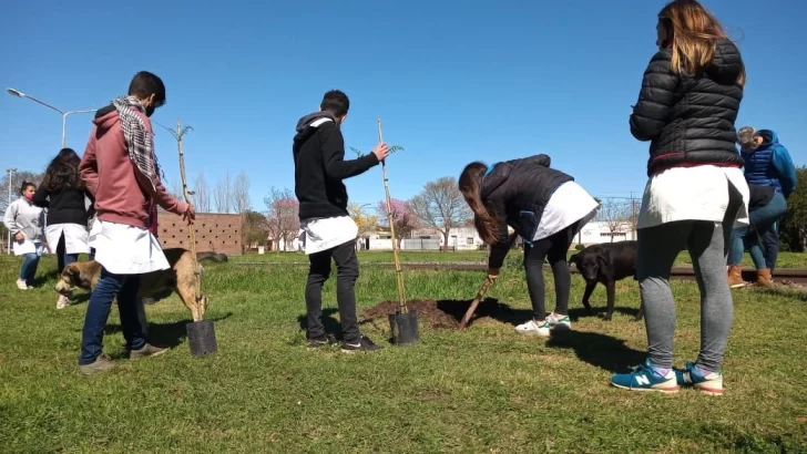 Alumnos de la secundaria plantaron árboles nativos en Monje