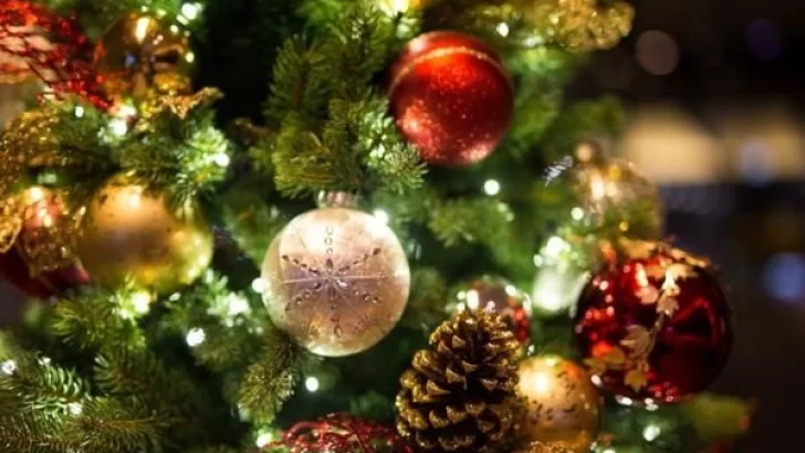 El Centro de Jubilados presenta el tradicional árbol navideño