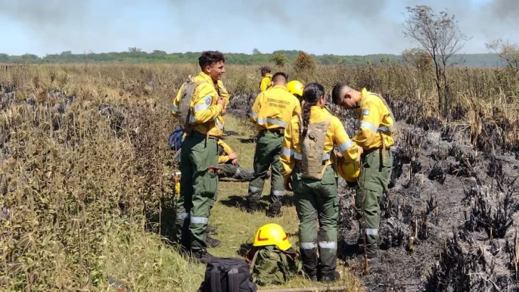 De Barrancas a Campana a combatir incendios en el Parque Nacional Ciervo de los Pantanos