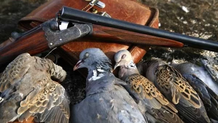 Detuvieron a un hombre que estaba cazando aves silvestres