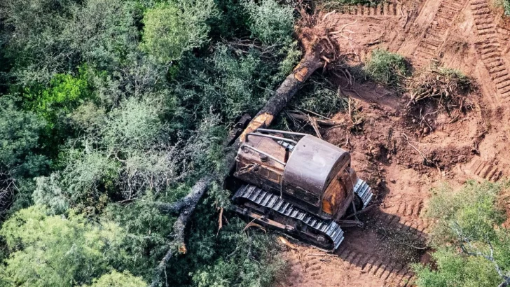 La cuarentena no frenó a los deforestadores y arrasaron con más de 48 mil hectáreas en el norte