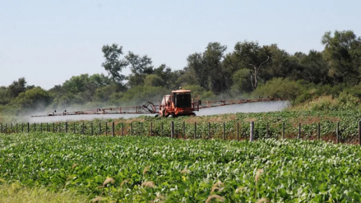 Una nena de dos años afectada por agroquímicos en la región