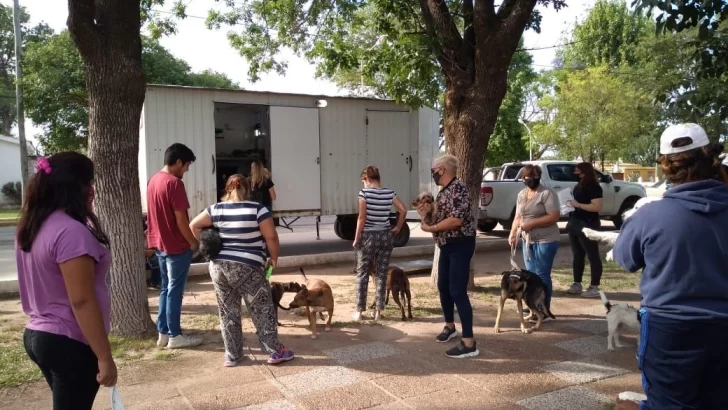 Arrancó la inscripción para la campaña de castración gratuita en Gaboto