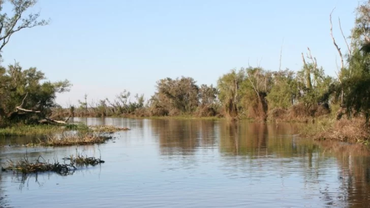 El estado de los humedales en la mira del sitio Ramsar