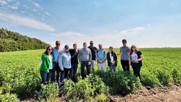 Técnicos del INTA Oliveros participaron en Canadá para mejorar la producción de legumbres