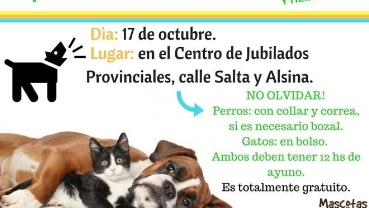 Oliveros tendrá una nueva jornada de esterilización para animales