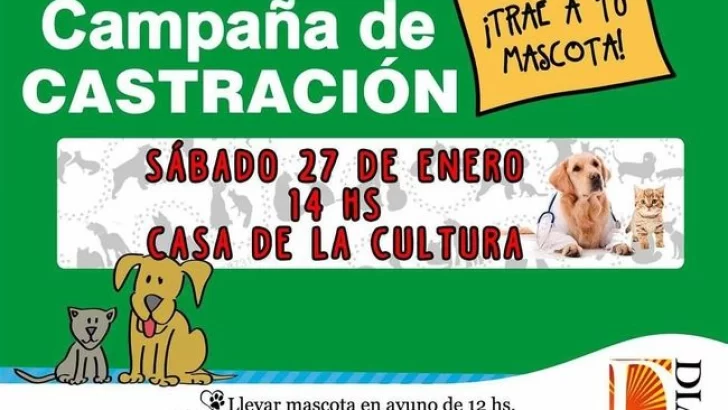 Habrá otra jornada de castración gratuita para mascotas en Díaz