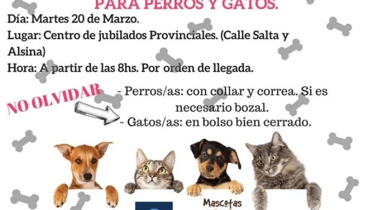 Mascotas de Oliveros: Se lanza la sexta jornada de esterilización