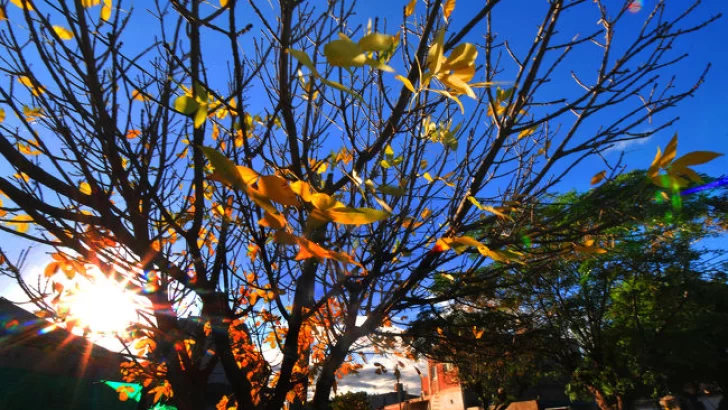 Las lluvias dieron una tregua pero sólo hasta el jueves