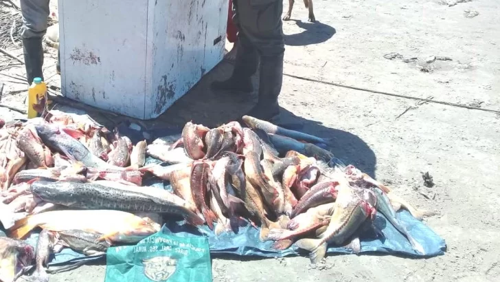 Pescaban en Gaboto y fueron sancionados con gran cantidad de especies prohibidas