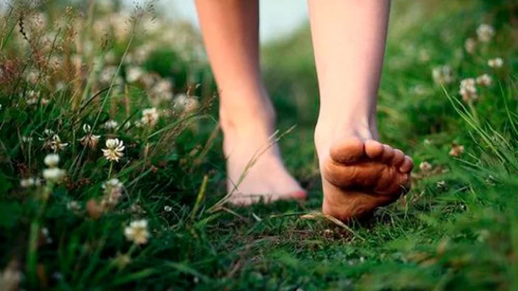 Andino celebra el Día de la Pachamama haciendo una caminata “con los pies en la tierra”