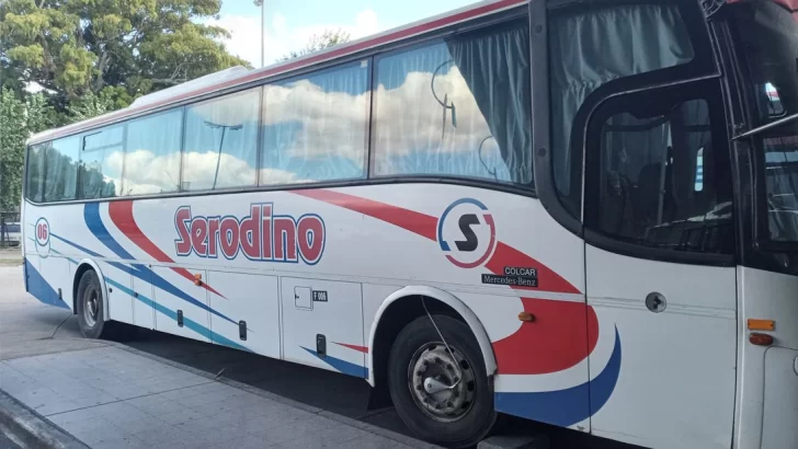 Empresa Serodino busca conductor profesional en la región