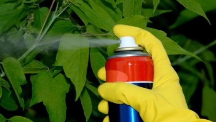 Prohibieron el uso y comercialización de siete insecticidas