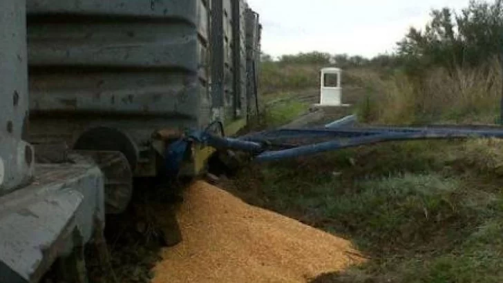 El tren se detuvo por un desvío y le robaron tres mil kilos de maíz