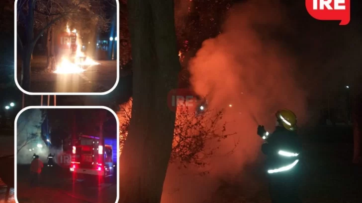 Noche de vandalismo: Prendieron fuego tres contenedores y pintaron grafitis en Andino