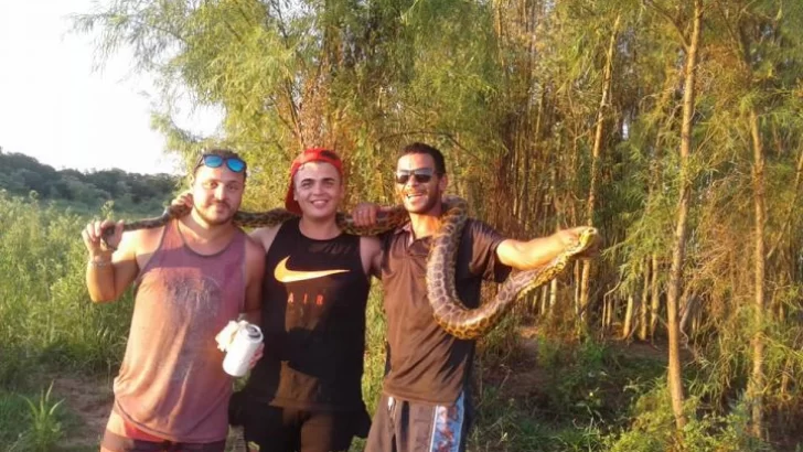 Jóvenes se sacaron fotos con una anaconda amarilla en el Paraná