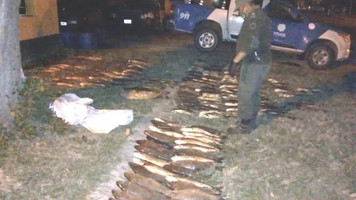 Detuvieron en Gaboto a una mujer trasladando más de 300 pescados ilegalmente
