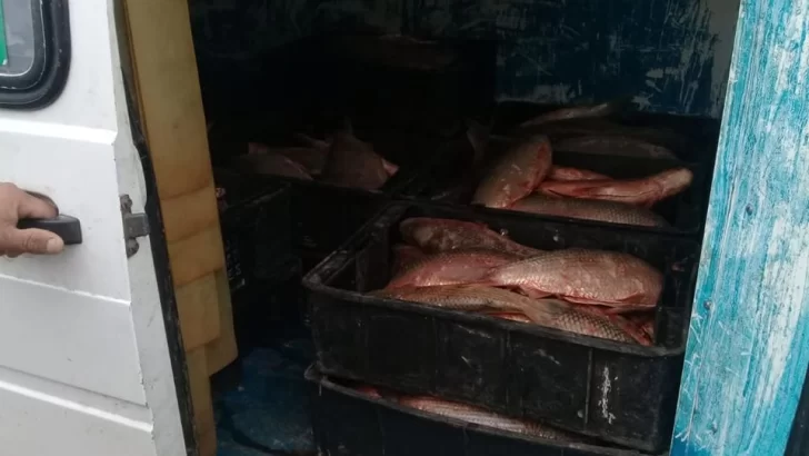 Trasladaba más de 150 pescados desde Gaboto y fue sancionado