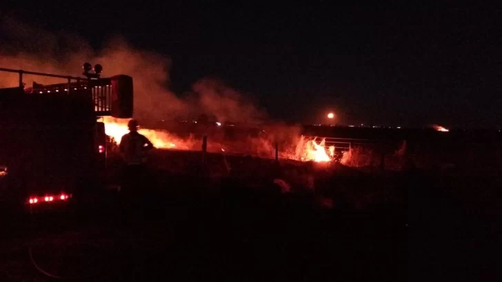Se incendiaron más de dos kilómetros de campo camino a Carrizales