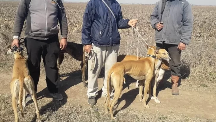 Sancionaron a tres hombres cazando en la zona rural de Maciel
