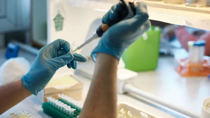 Piden a Provincia que haya más laboratorios que realicen hisopados