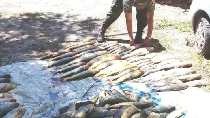 Decomisaron casi 500 pescados y sancionaron a un hombre en Monje