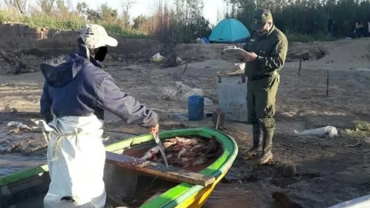 Sancionaron a tres hombres en Gaboto y decomisaron más de 150 pescados