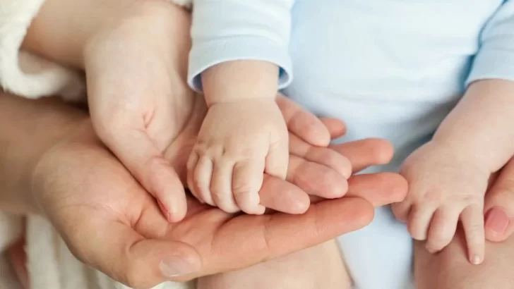 Buscan familias solidarias para cuidar temporalmente a más de 10 bebés