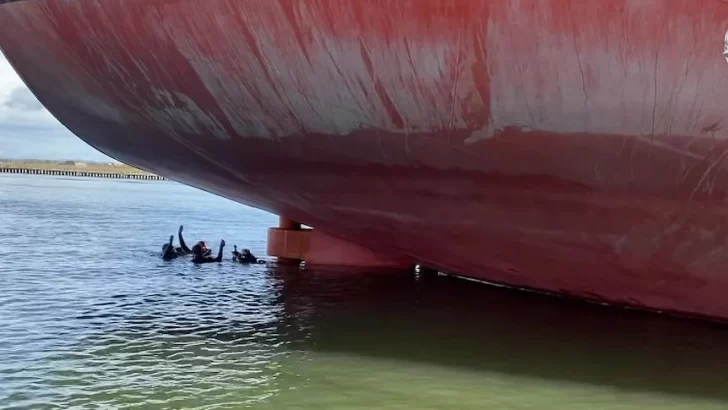 Un buzo muerto y 50 kilos de cocaína que llegaron a Australia en un barco que partió de Timbúes