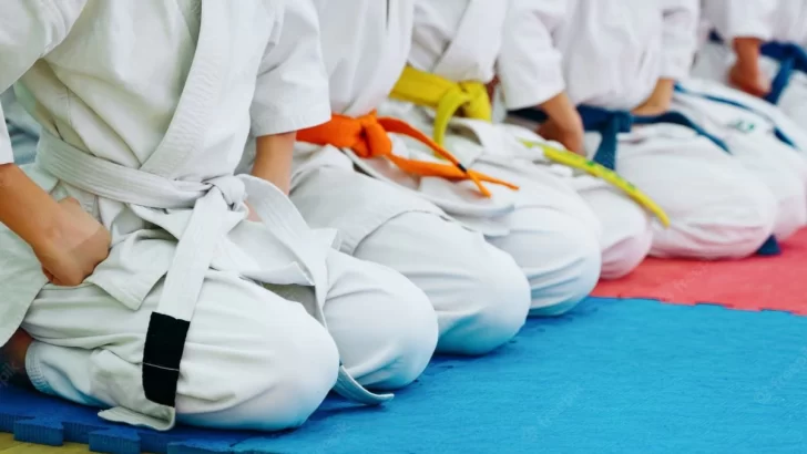 Más de 100 alumnos de Karate Do participarán de la Copa Timbúes