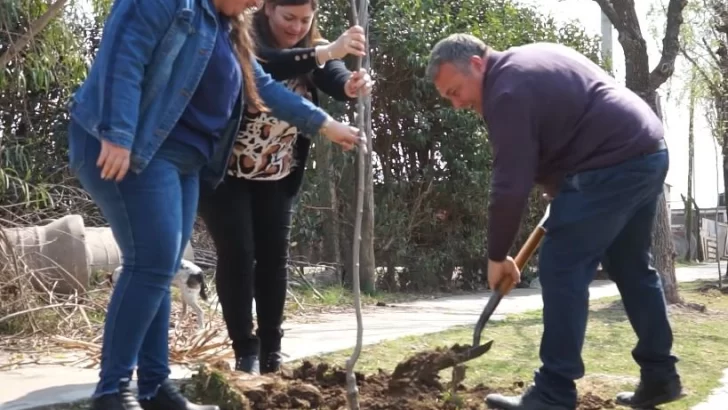 Timbúes comenzó a ejecutar el programa comunal de arbolado público