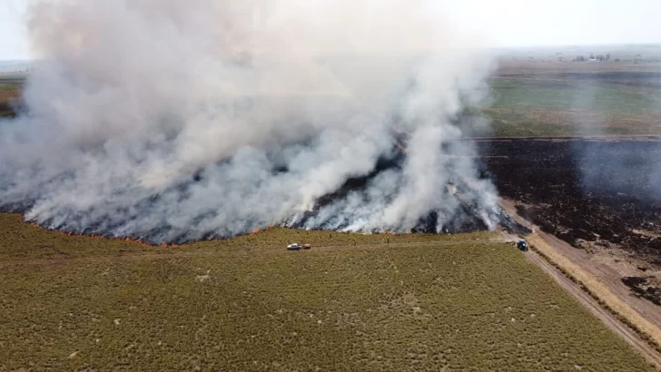 Viento y sequía, la peor combinación: Se incendiaron más de 200 hectáreas en Carrizales