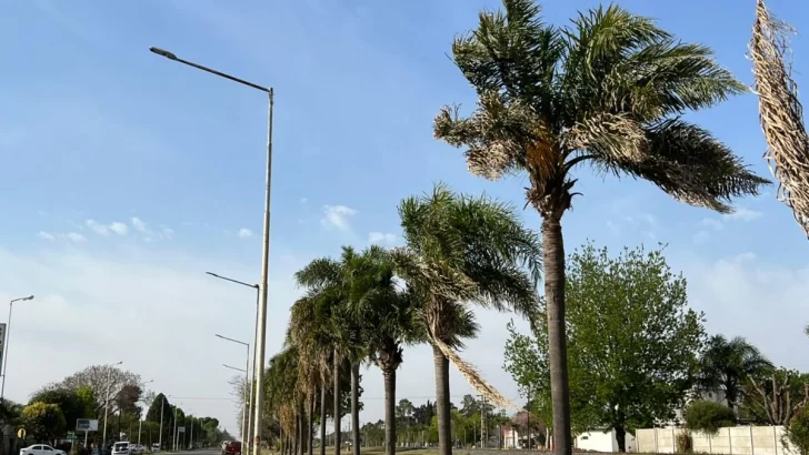 Fuertes vientos hicieron bajar la temperatura en la región y hay presencia de humo