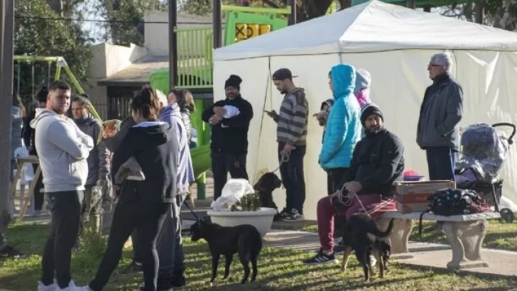 Timbúes anunció fecha para una nueva jornada de castración