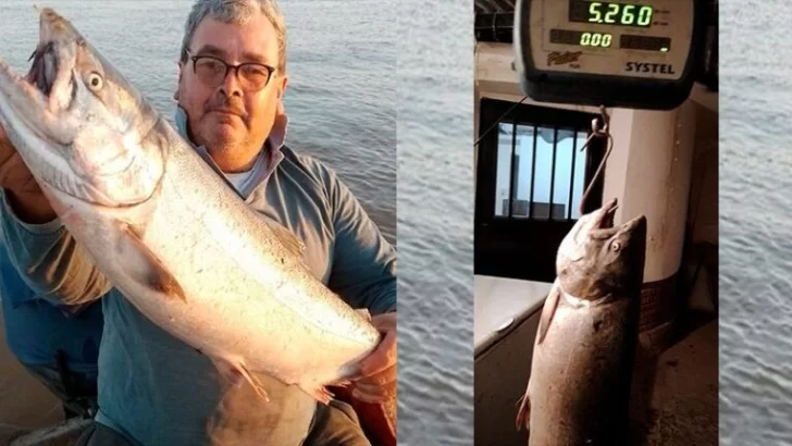 Insólito: Pescaron un salmón en el Paraná y estudian cómo llegó